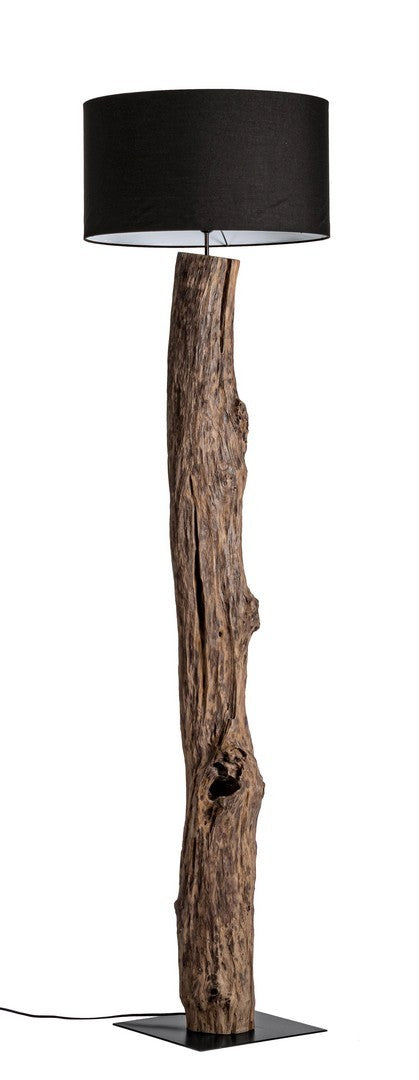 PIANTANA KLETA NERO H180